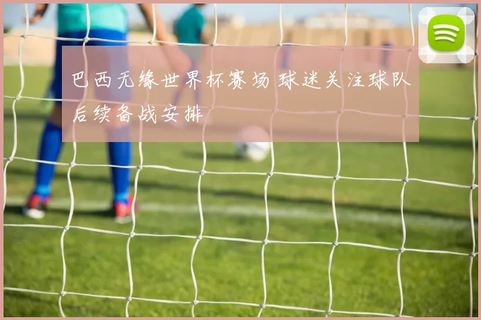 巴西无缘世界杯赛场 球迷关注球队后续备战安排
